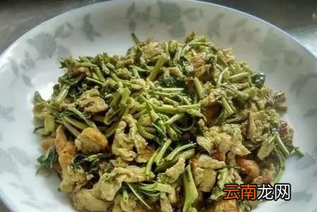 春芽菜的做法怎么做好吃