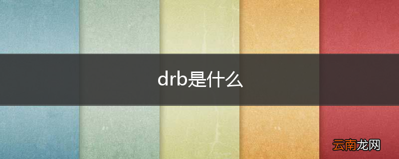 drb是什么