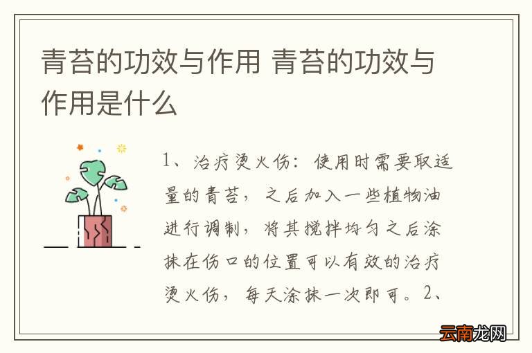 青苔的功效与作用 青苔的功效与作用是什么
