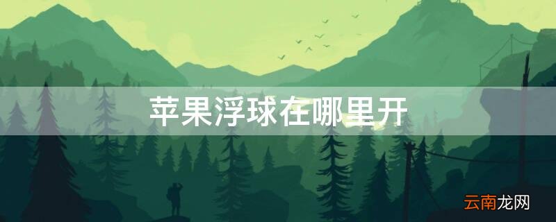 iphone手机悬浮球怎么打开 iPhone浮球在哪里开