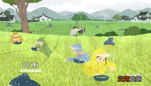谷雨的民间风俗 谷雨的民间风俗有哪些