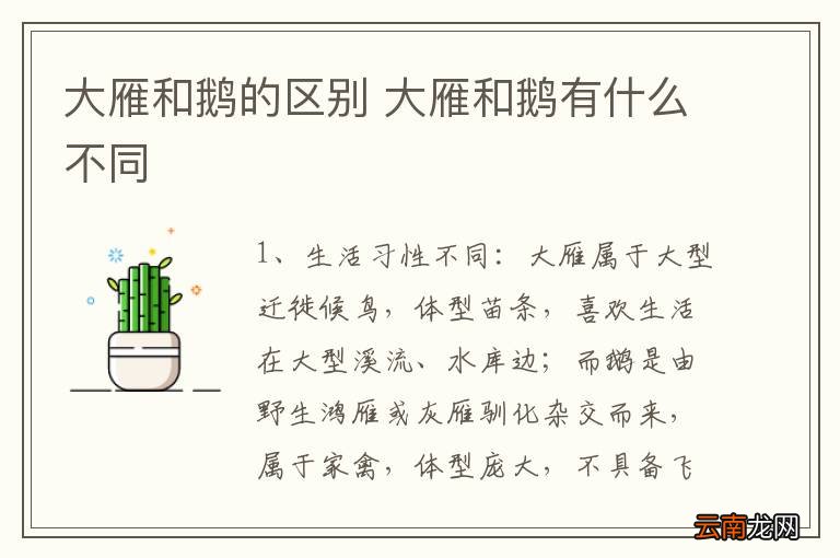 大雁和鹅的区别 大雁和鹅有什么不同