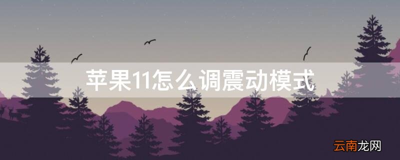 iPhone11怎么调震动模式 苹果11手机如何调震动模式