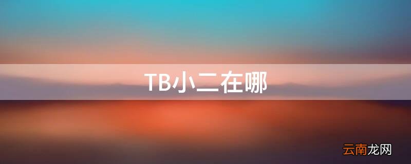 TB小二在哪