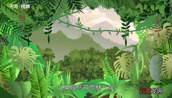 文莱在哪 文莱位于哪里