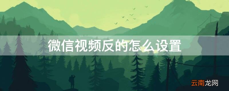 微信视频是反的怎么调整 微信视频反的怎么设置