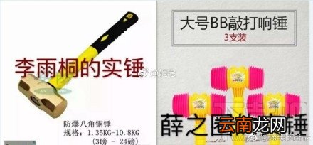 硬锤死挺什么梗？硬锤死挺是什么意思？