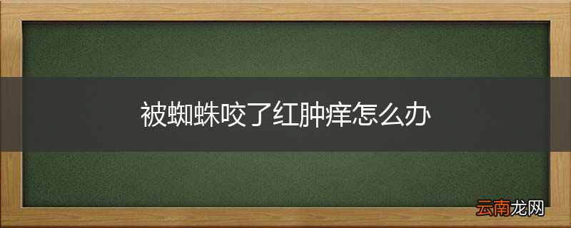 被蜘蛛咬了红肿痒怎么办