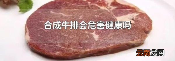 合成牛排会危害健康吗