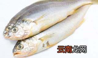 做好的鱼常温下可以放多久 洗好的鱼常温可以放多久