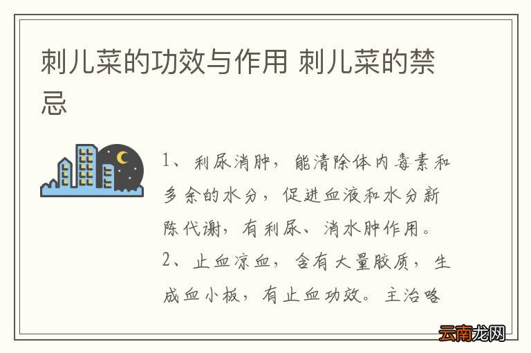 刺儿菜的功效与作用 刺儿菜的禁忌