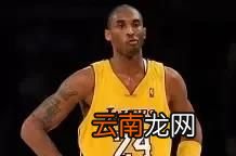 巅峰科比和韦德谁更强