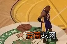 巅峰科比和韦德谁更强