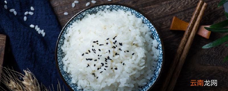 为什么不吃主食瘦得快 不吃主食有什么危害!