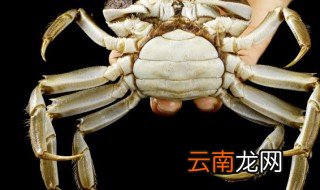 干蒸江蟹需要几分钟 江蟹要蒸多久