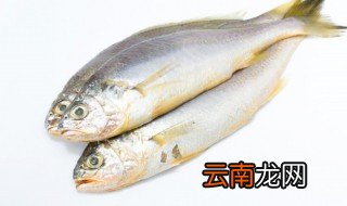 黄花鱼要蒸多久 黄花鱼要蒸多久才好吃