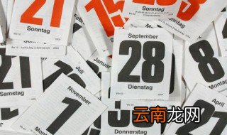 4月19日是什么节日，4月19号是什么节日