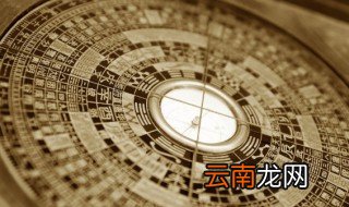 室内放假花风水 室内放假花风水如何