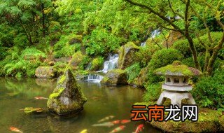 如何让庭院鱼池水清澈 怎么让庭院鱼池水清澈