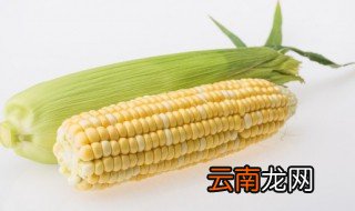电饭锅蒸玉米要多久熟 电饭锅蒸玉米要多久