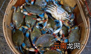 清蒸蟹要蒸多久才能吃 蟹要蒸多久才可以吃