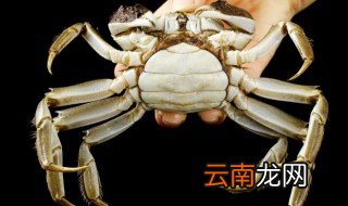 冰冻的螃蟹要蒸多久 冰冻的螃蟹要蒸多久才熟