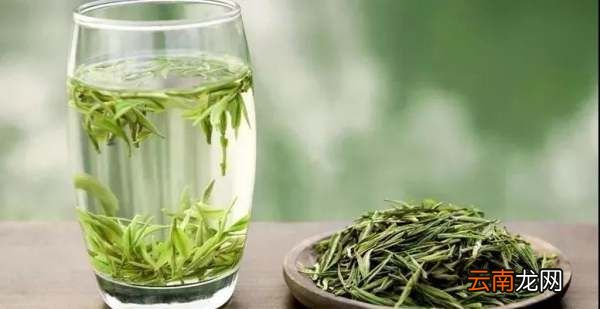 经典茶语,苏东坡写白茶的诗词