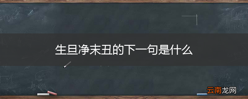 生旦净末丑的下一句是什么