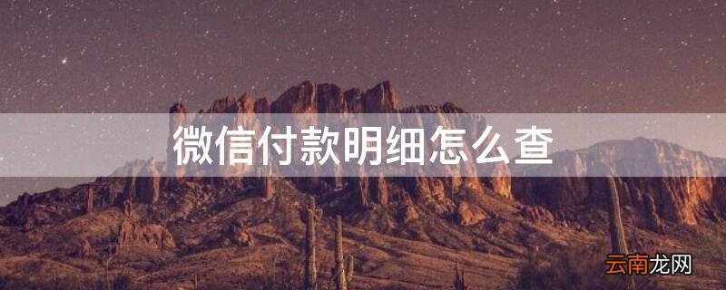 微信付款明细怎么查看 微信付款明细怎么查