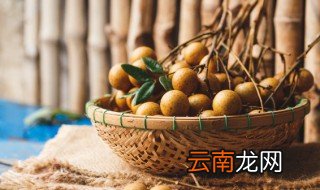 龙眼怎么会发芽 龙眼发芽了怎么种盆栽