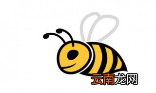 怎么处理马蜂窝最彻底 如何处理马蜂窝最彻底