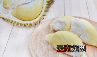 榴莲种子发芽了怎么种 榴莲种子发芽了怎么种植
