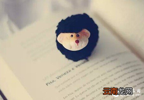 珍惜拥有 才不会辜负了缘分