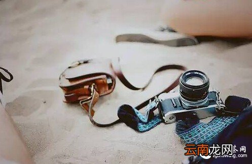 珍惜拥有 才不会辜负了缘分