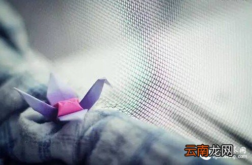 珍惜拥有 才不会辜负了缘分