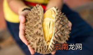 榴莲在壳里可以放冰箱里保存吗