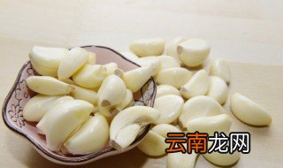 蒜发芽了怎么种盆栽 蒜发芽了怎么种
