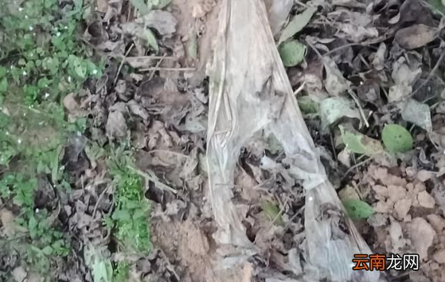 防止环境污染最有发展前途的地膜