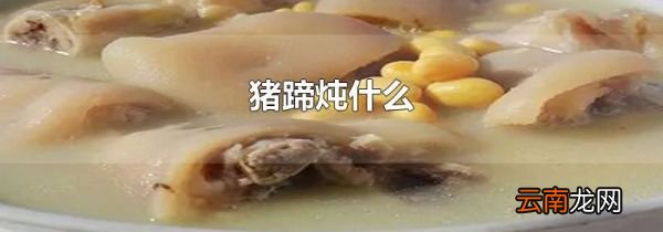 猪蹄炖什么