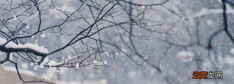 雪象征着什么