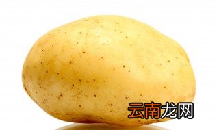 马铃薯苗发芽了怎么种，马铃薯种下去多久发芽