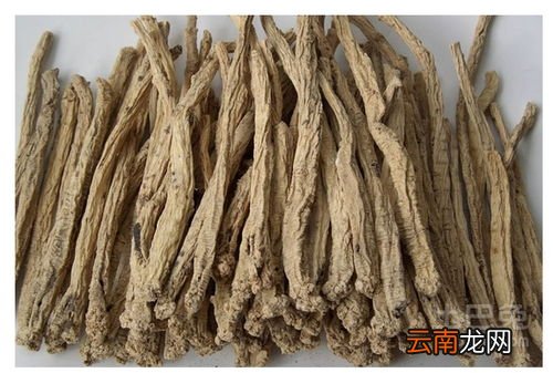 黄芪与当归党参功效作用,当归和党参和黄芪一起吃可以的吗?有什么功效?