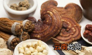 灵芝粉可以放冰箱保鲜吗，灵芝粉可以放冰箱保存吗