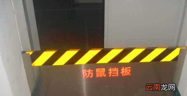 办公室有老鼠怎么办，办公室抽屉有老鼠怎么办