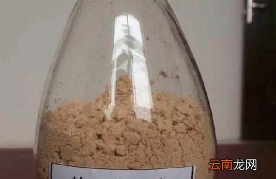 办公室有老鼠怎么办，办公室抽屉有老鼠怎么办
