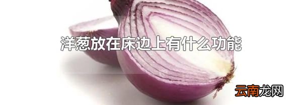 洋葱放在床边上有什么功能