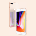 iphone8将小圆点关掉操作流程