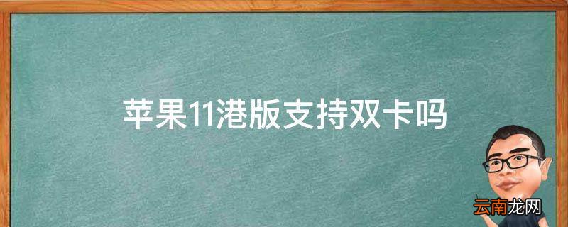 苹果11港版支持双卡吗
