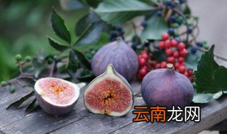 无花果可以放冰箱保鲜室吗 无花果能放冰箱保存吗