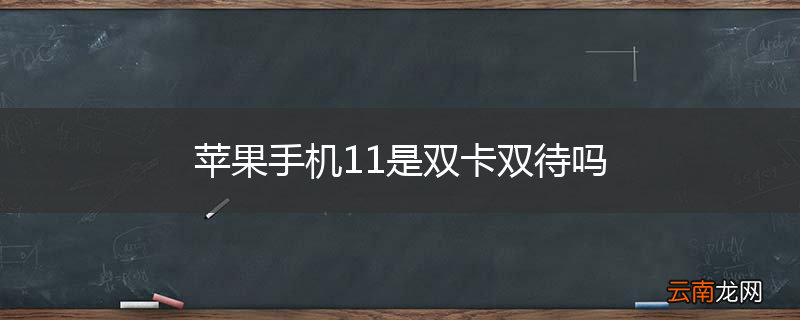 苹果手机11是双卡双待吗
